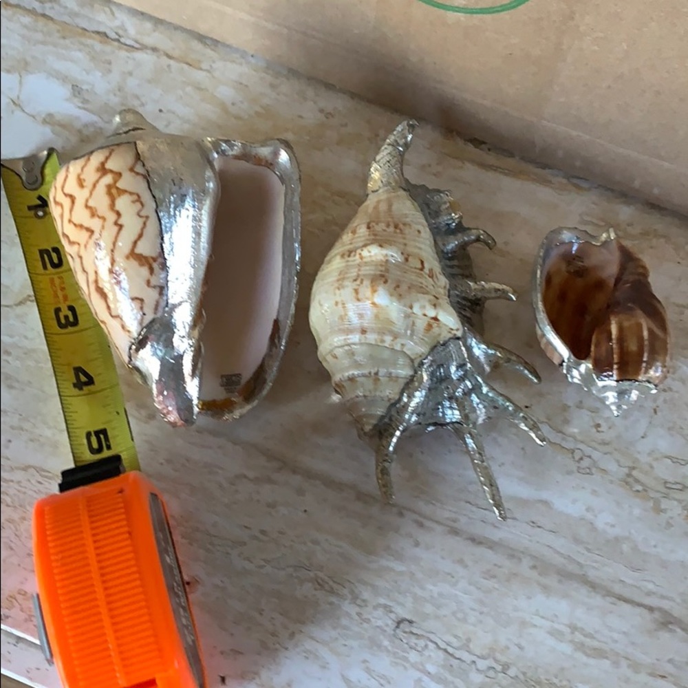 Silver deco shells - Picture 2 of 8